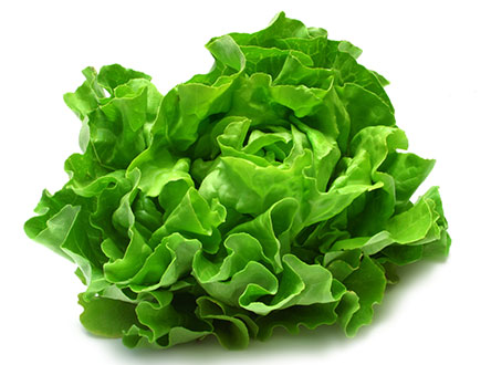 green leaf lettuce