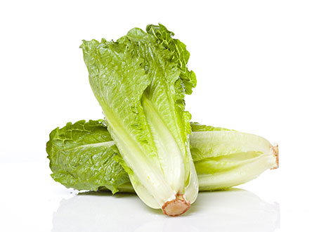 romaine lettuce